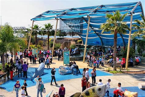 Shark's Lagoon (@SharkLagoon) .